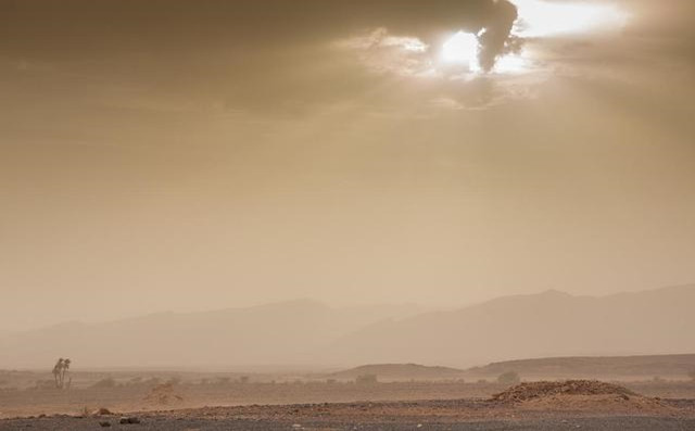 【沙塵暴預警】近10年最強沙塵天氣來襲！豐源機械提醒大家：別慌，注意防范！