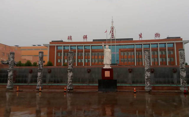 章丘豐源污水曝氣羅茨風(fēng)機用于瑞祥生物廠 章丘豐源污水曝氣羅茨風(fēng)機用于瑞祥生物廠