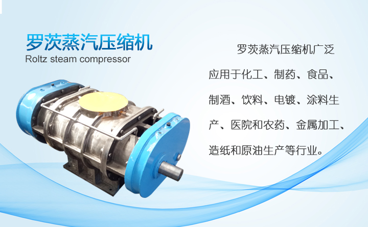 羅茨式蒸汽壓縮機(jī) 羅茨式蒸汽壓縮機(jī)